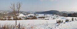 Winter Landscape at the Golf Course