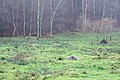 Quarzbrocken an den Höhensteinen