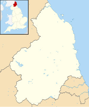 Farne-Inseln (Northumberland)