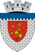 Wappen von Târgu Neamț