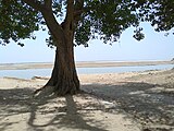 River Ganges at Bhojpur