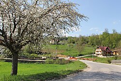 Village of Zivica