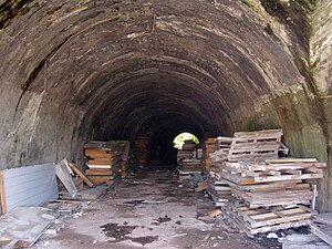 Inside of Tunnel from Kings Dock Street. The light seen is from an air shaft