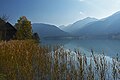 Weissensee, northern shore