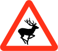 Wild animals ahead