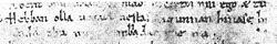 Hebban olla vogala nestas hagunnan hinase hic enda thu. Wat unbidan we nu? ('Oudnederlands)'quid expectamus nunc abent omnes uolucres nidos inceptos nisi ego e tu (Latijn)