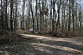 Kleinkastell Auf dem Buchkopf, Rechts der Limeswall, Hinweisschild, dahinter links der 1,50m hoch erhaltene Hügel des Kleinkastells.