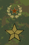 Rank insignia