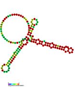 P14: Secondary structure taken from the Rfam database. Family RF01669