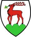 Hirschberg (Jelenia Góra)