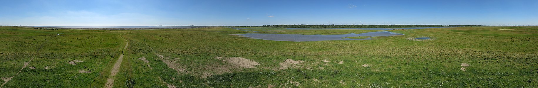 Panoramaaufnahme vom Beobachtungsturm auf den Eiderdammflächen am Rande des Naturinformationsareals, nahe der L305 nördlich des Eidersperrwerks.