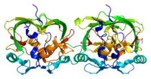 3D rendering of the AXH domain of Ataxin 1 protein