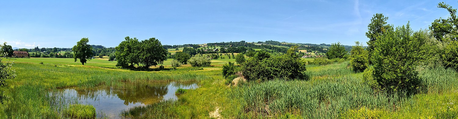 Panorama vom Beobachtungsturm Ronfeld