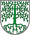 Wappen von Hagenbach