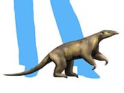 Life reconstruction of Eurotamandua joresi