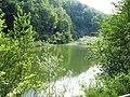 Altra suggestiva immagine del Lago del Vaglio, nel pomeriggio di luglio.