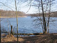 Grunewaldsee, Südufer