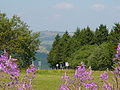 Blick von der Hochrhönstraße zur Wasserkuppe