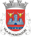 Vlag van Montalegre