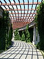 pergola