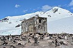 Schutzhütte in Paradise Harbour, errichtet 1950 nahe der chilenischen Gabriel-González-Videla-Station zu Ehren von Gabriel González Videla, dem ersten Staatsoberhaupt, das die Antarktis besuchte. Der Unterstand ist ein repräsentatives Beispiel für Aktivitäten vor dem Internationalen Geophysikalischen Jahr 1957/58.