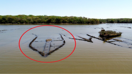 Various submerged shipwrecks and one shipwreck looking like a plant-covered island