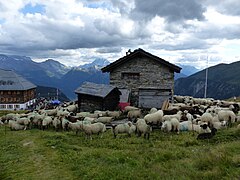 Angekommen. Die Menschen feiern am Hotel Belalp