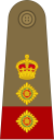 Colonel