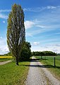 Via Claudia Augusta südlich von Augsburg auf dem Lechfeld bei Graben