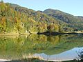 Weitsee im Herbst (Obersee mit Insel Bidlieger)