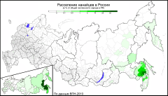 Mapa grupy etnicznej