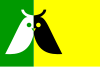 Flag of Annen