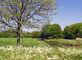 Polderpark Cronesteyn, mei 2013