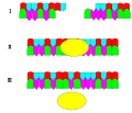 The image demonstrates how ligase catalyzes the formation of two fragment strands of DNA. The ligase joins the two fragments of DNA to form a double strand of DNA by "pasting" them together.