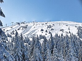 Pančićev vrh/Pančić top in de winter