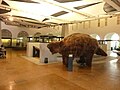 Ein Riesenfaultier, von 2000 bis 2019 im Erdgeschoss des Museums gezeigt[4]