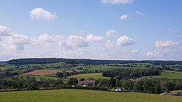 Beusdalbos gezien vanaf het Vijlenerbos