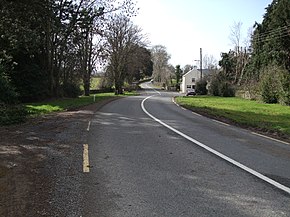 The R665 road Ireland.JPG