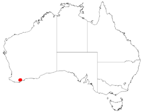 Dữ liệu hiện diện của "Acacia awestoniana" lấy từ Australasian Virtual Herbarium