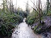 Alder Moors