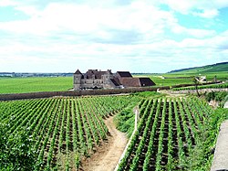 Clos Vougeot, kastély a burgundiai borvidéken[1]