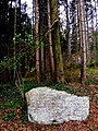 Im Wald bei Irschenhausen (Hans Wach (1926–2012), Landwirt und Künstler, Irschenhausen)