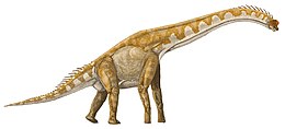 A Giraffatitan rekonstrukciója