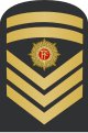 Irish Navy - Senior Chief Petty Officer