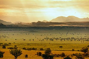 Landschaft im Kidepo-Valley-Nationalpark