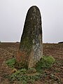 Menhir in Saint-Norgant