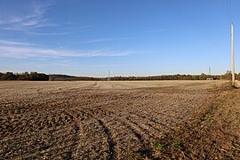 Oxbow Nature Conservancy