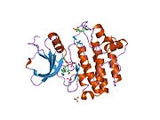 1qpc: STRUCTURAL ANALYSIS OF THE LYMPHOCYTE-SPECIFIC KINASE LCK IN COMPLEX WITH NON-SELECTIVE AND SRC FAMILY SELECTIVE KINASE INHIBITORS