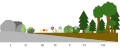 Primary succession occurring over time. The soil depths increase due to decomposition of plant matter and there is a gradual increase of species diversity in the ecosystem.