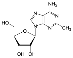 Strukturformel von 2-Methyladenosin